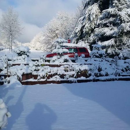 Ferienhaus Rosemarie Breungeshain Kültér fotó