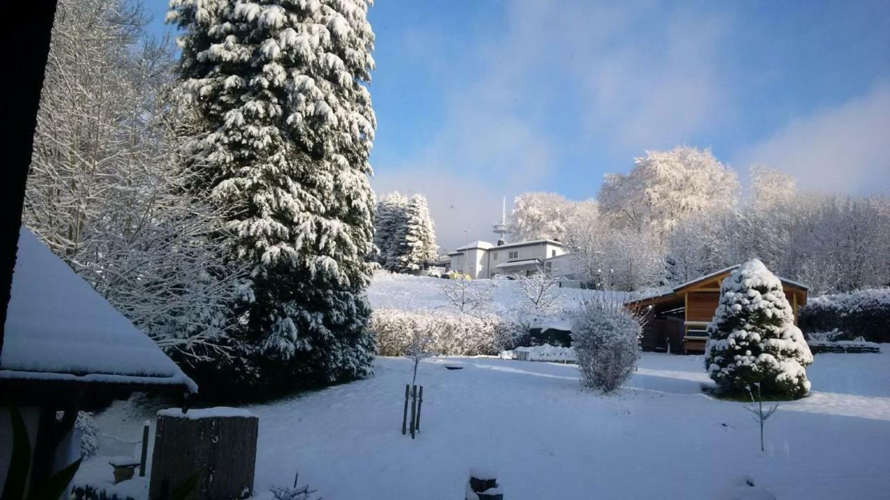 Ferienhaus Rosemarie Breungeshain Kültér fotó